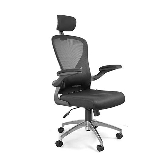 Ghế Xoay Công Thái Học GX2414B