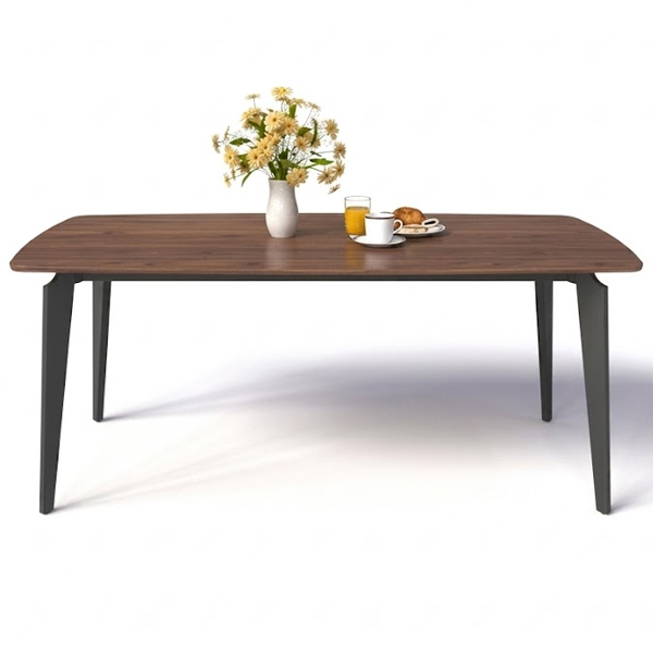 Bàn ăn gỗ Plywood 10 người BA04-P18