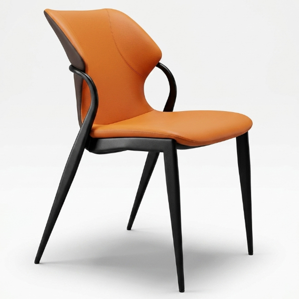 Ghế tựa khung cong GT249